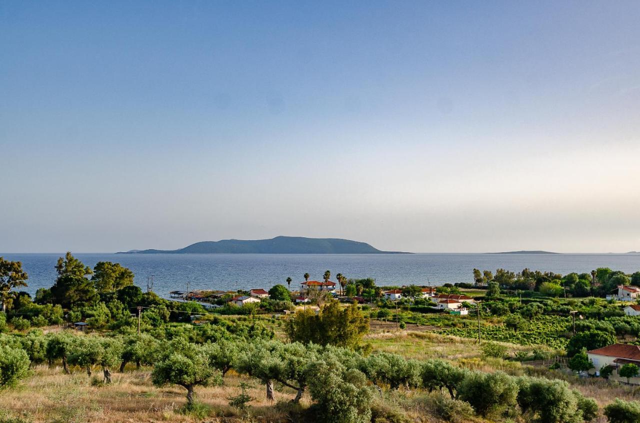 Salandore Blue Finikounta Buitenkant foto